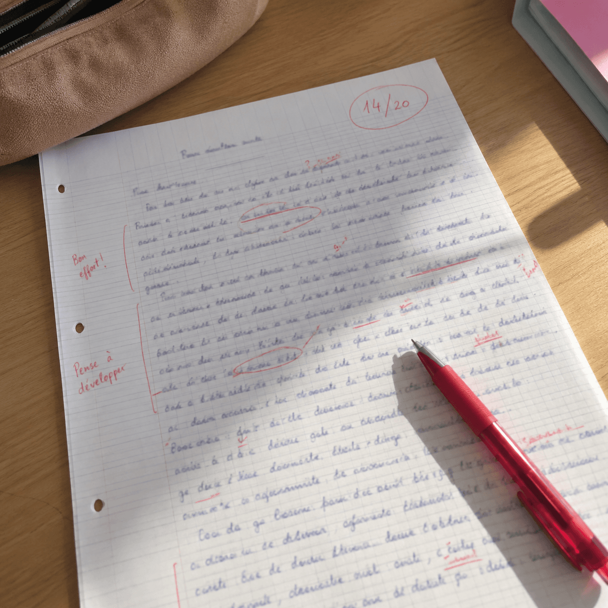 Correction annotée d'un devoir dans un délai annoncé