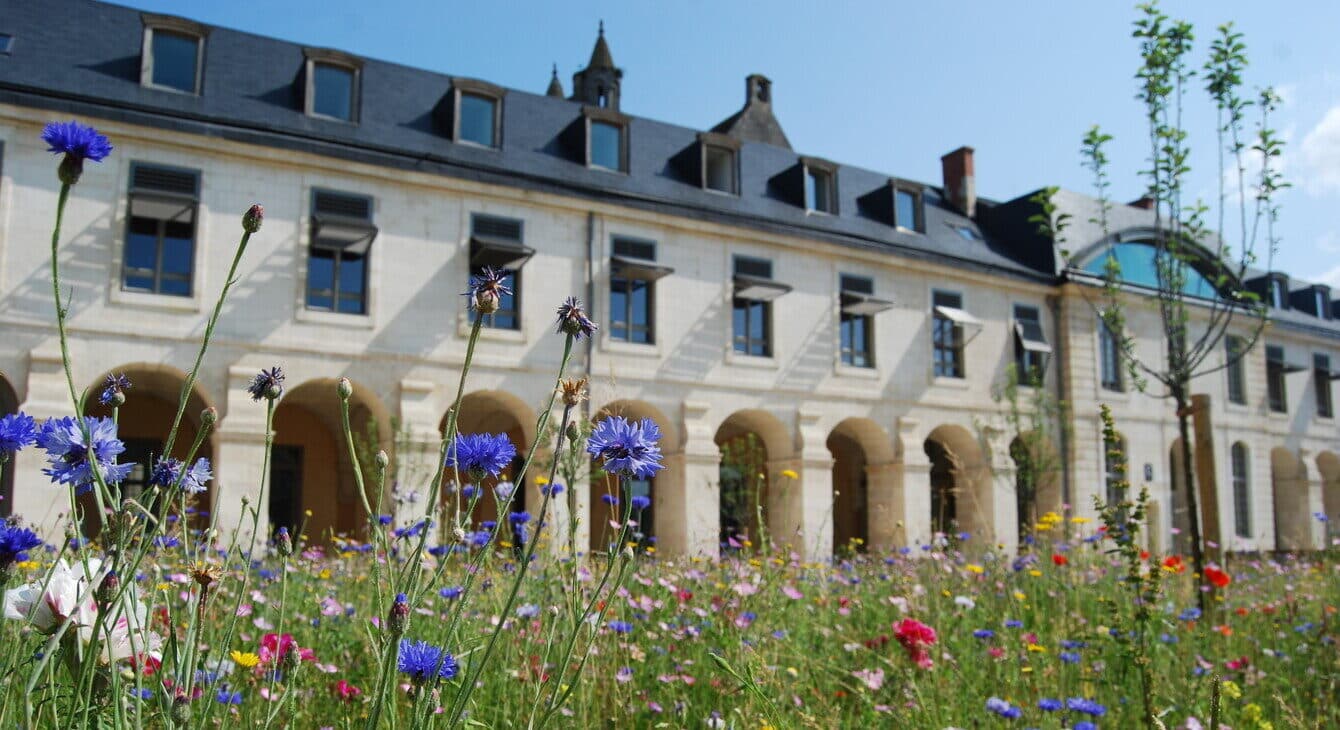 S'inscrire au bac en candidat libre dans l'académie de Poitiers